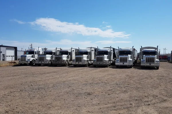 DB-Transport-drivers_1000013427_1440